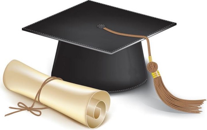 IIT Delhi Research Scholar Selected For 69th Lindau Nobel Laureate Meet